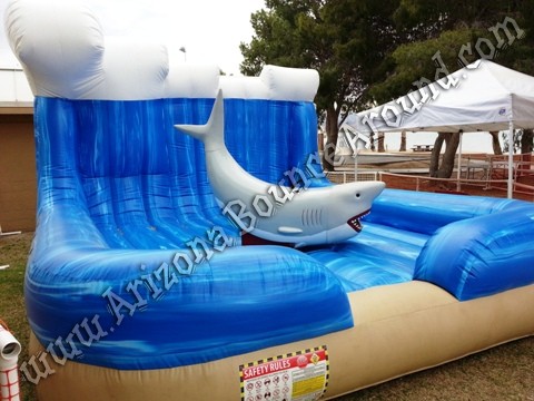 Mechanical shark rentals Phoenix Arizona